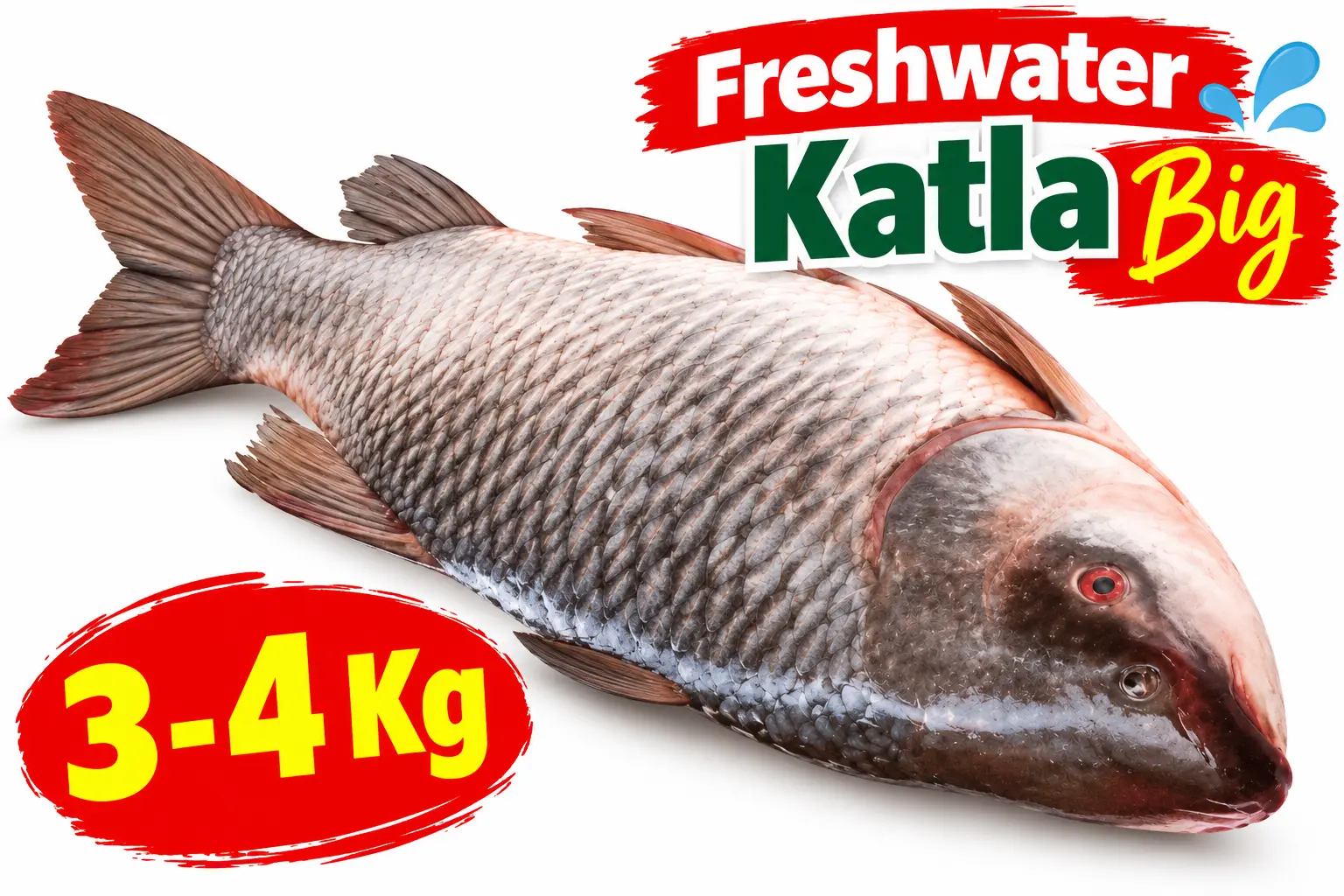 Big Size Katla Fish Cut